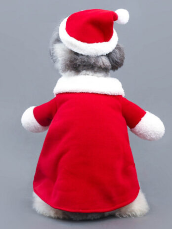 Pet Christmas Decoration Costume Pet Standing Costume